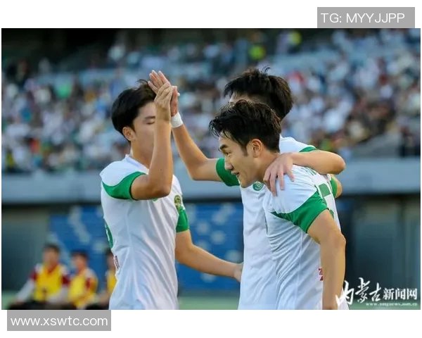 足球CD的魅力与激情探讨如何提升球迷的观赛体验与参与感